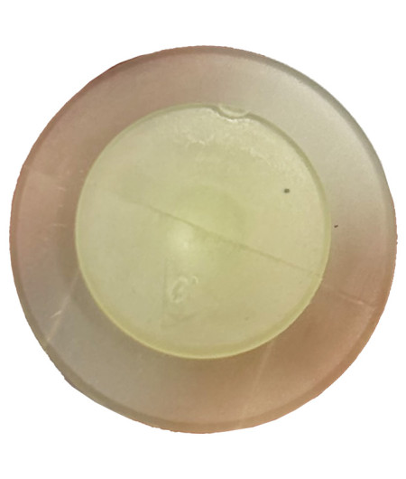 Lot de 10 agrafes moulure de pare-brise - Renault Scénic III - ferlor fixoutil